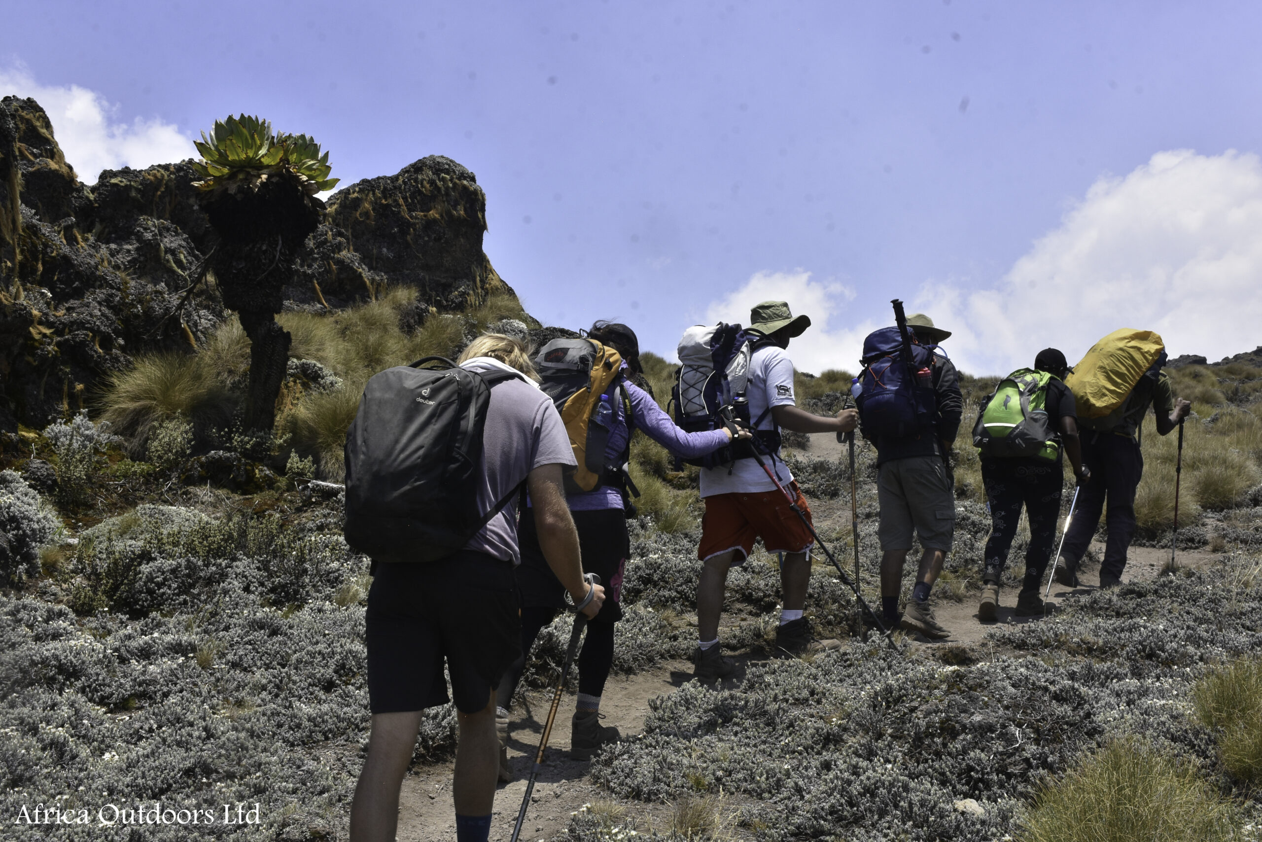 Mount kenya sirimon-chogoria(5 days)