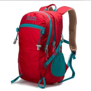 Day Backpack